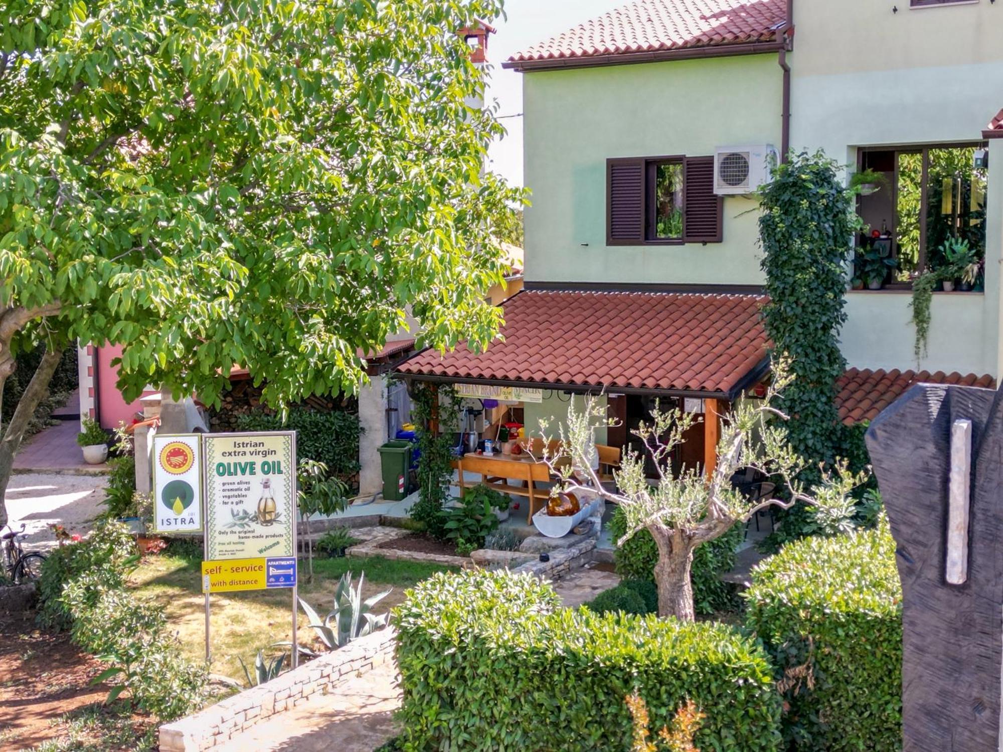 Magic Holiday Apartment Bale Ngoại thất bức ảnh